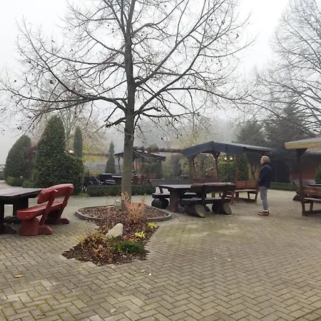 Zwei Tiny Haeuser Am Thuemmlitzsee