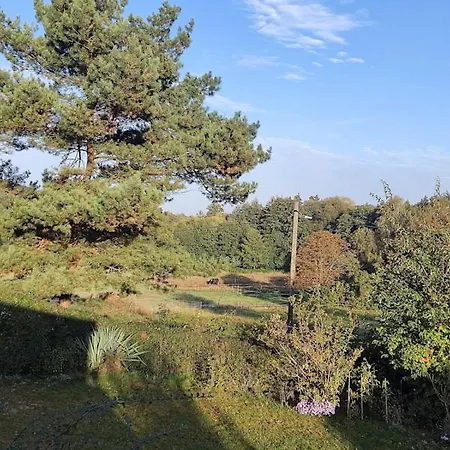 Holiday home Zwei Tiny Haeuser Am Thuemmlitzsee *