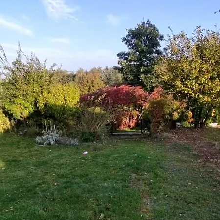 Zwei Tiny Haeuser Am Thuemmlitzsee Holiday home Grimma